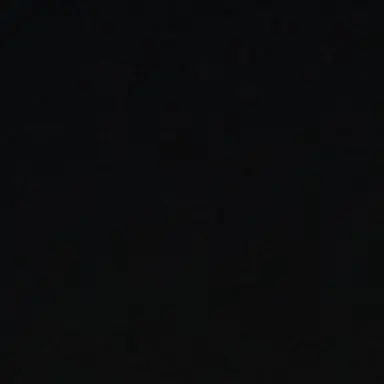 Profile image of 판저이