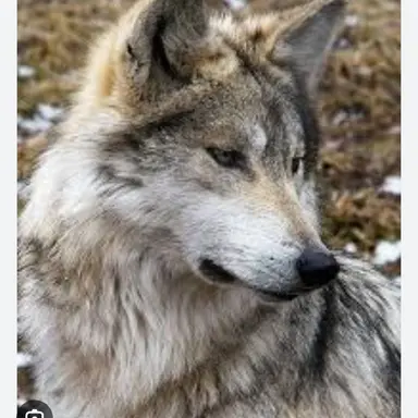 Profile image of 멜로