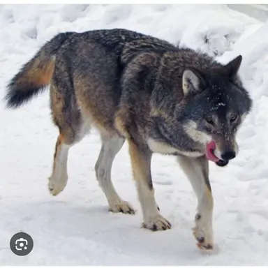 Profile image of 지훈