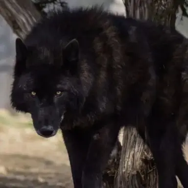 Profile image of 마커