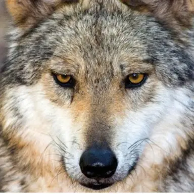 Profile image of 준이