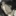 최예준
