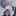 전승우