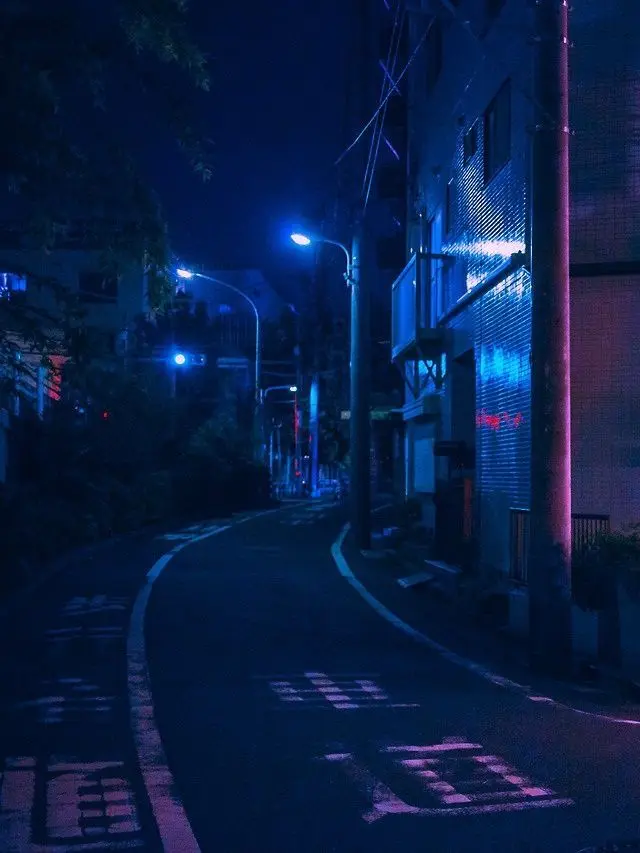 maplechan의 帰り道。