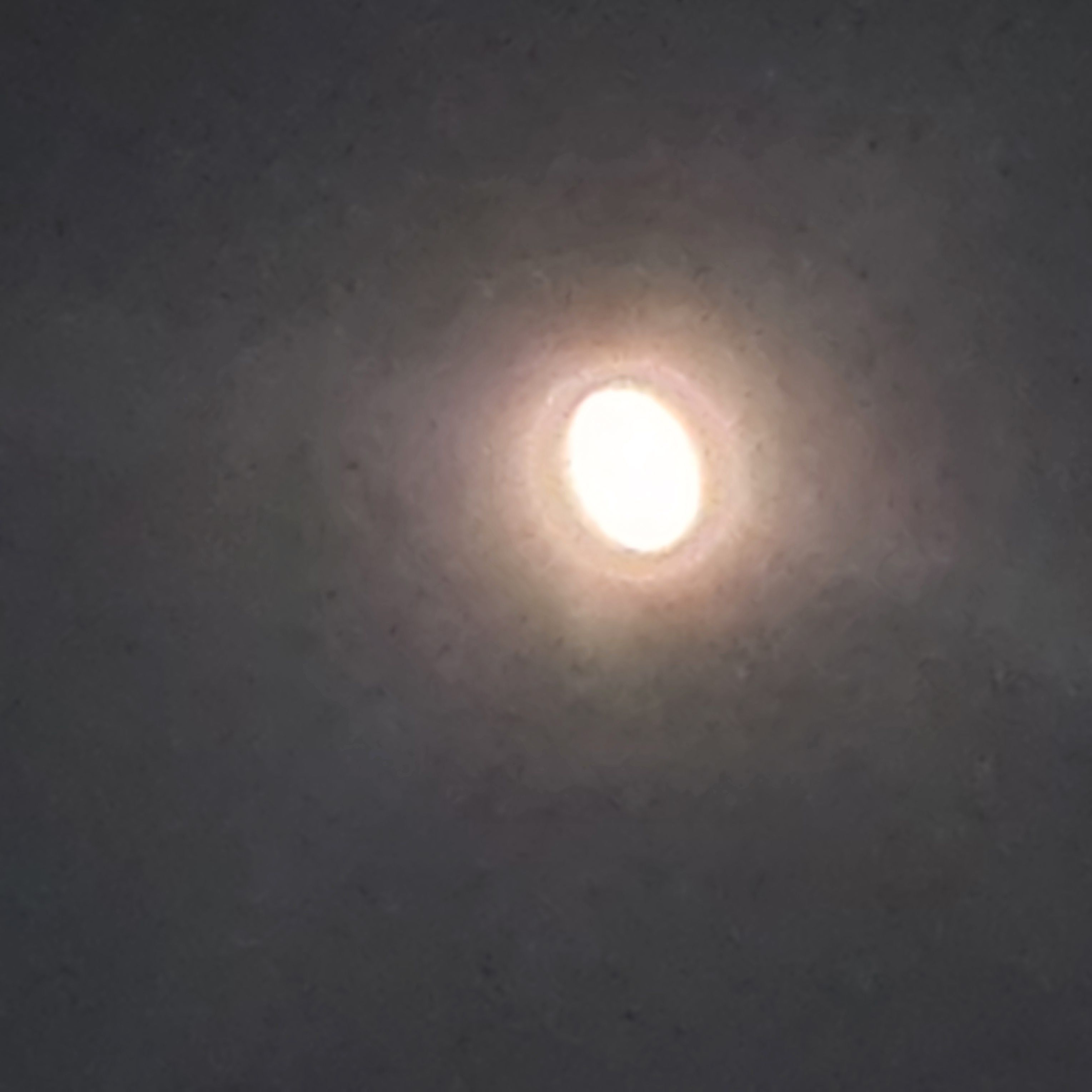 권지용 대표 이미지