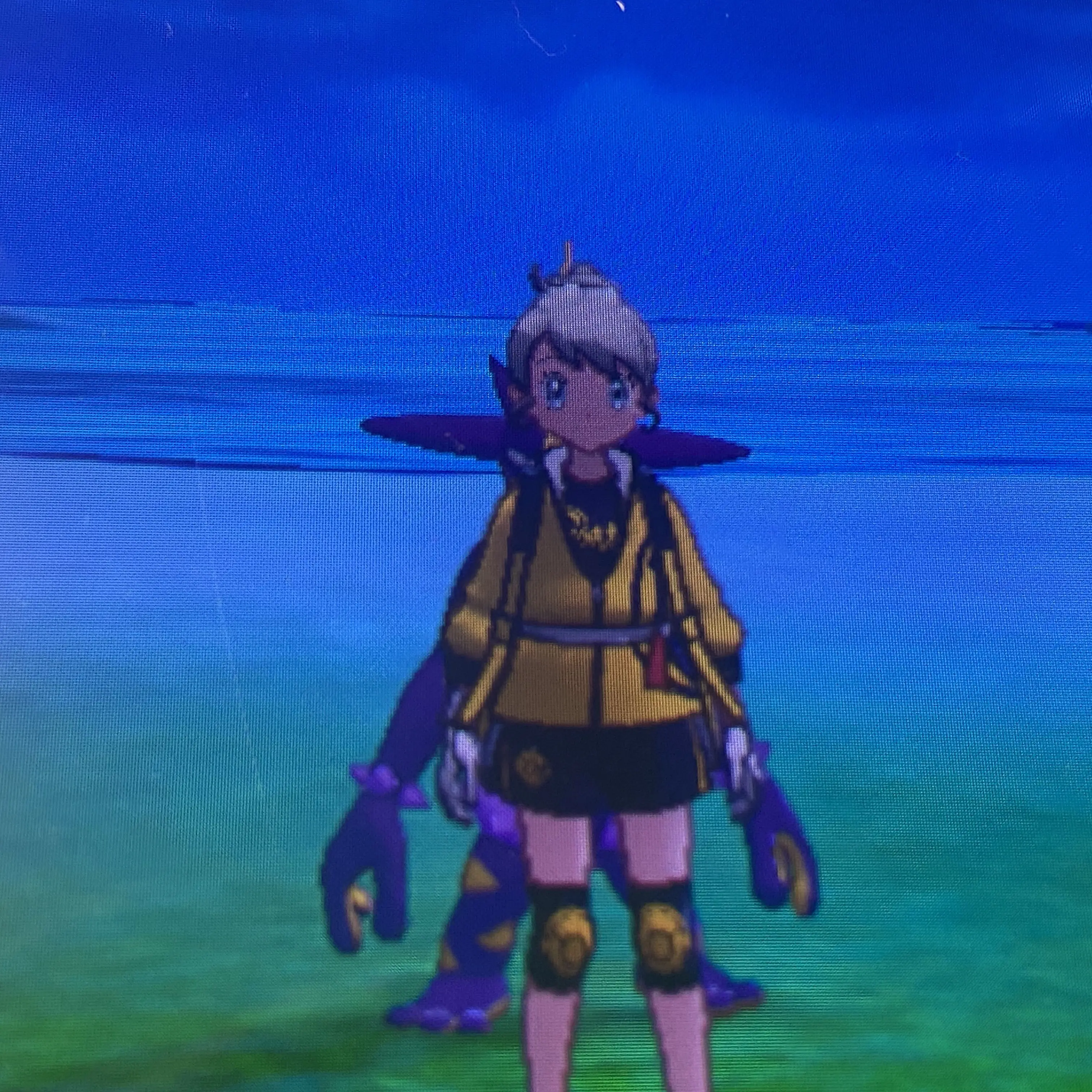 SpryNiece3542의 ポケモンオリキャラ集合