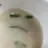 일기장