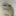 일기장