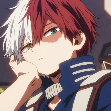 Profile image of Shoto Todoroki