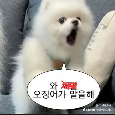 Profile image of 키미