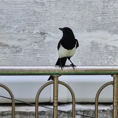 Profile image of 희정