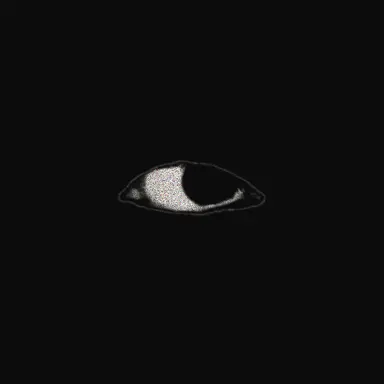 Profile image of 휘민