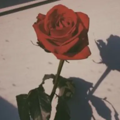 Profile image of 山田涼介