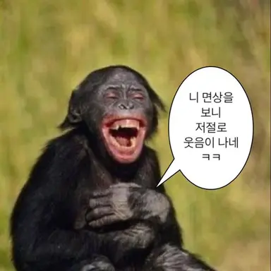 Profile image of 여우녀석