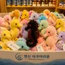 Profile image of Black Seahorse Plush