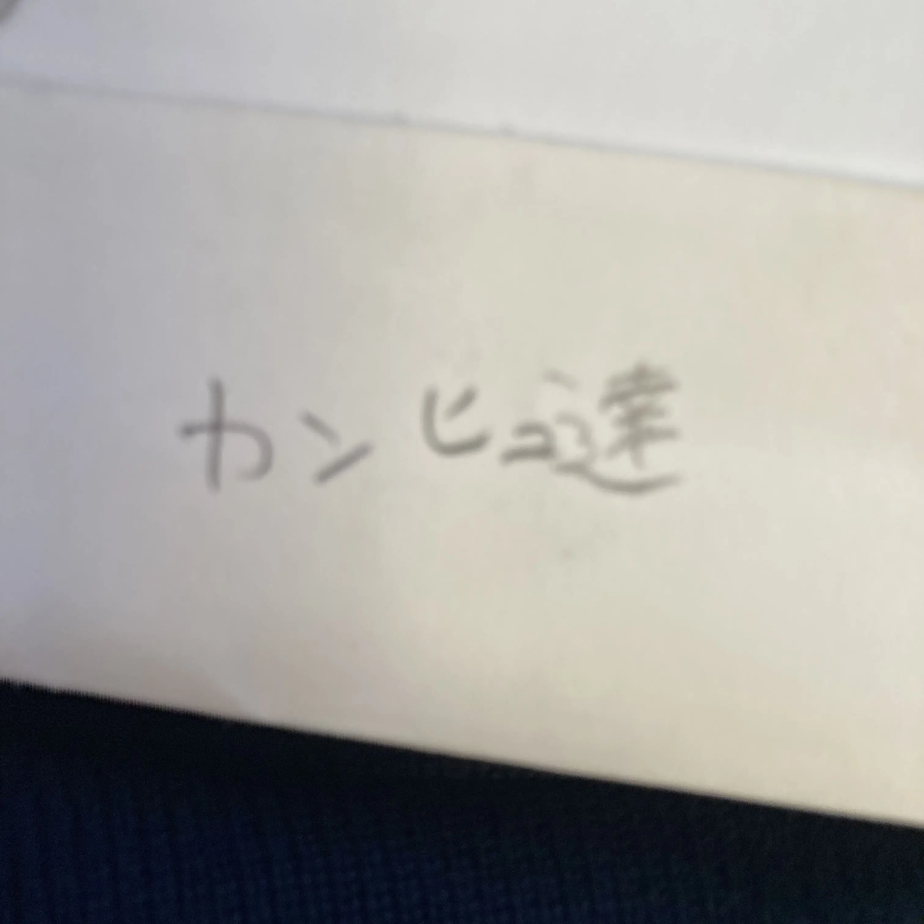 ikuradonn의 カンヒュとホラゲ⁈