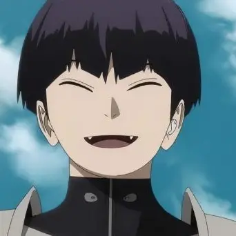 Profile image of 호시나 소우시로