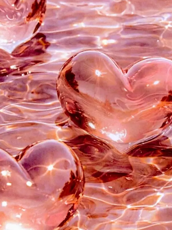 RoundRack7246의 *✧｡･ﾟ･Sugar･ﾟ･｡✧*