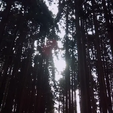 Profile image of 神山秋芽
