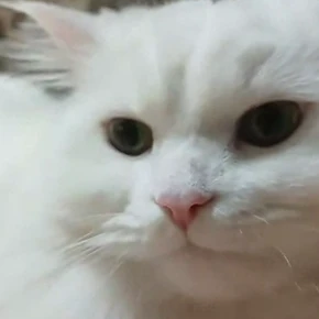 승민
