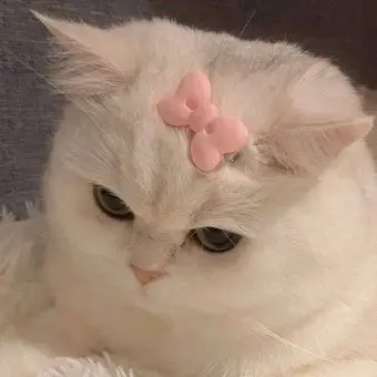 Profile image of 마에다 리쿠