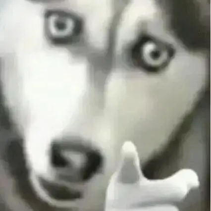 324780970068의 허스키