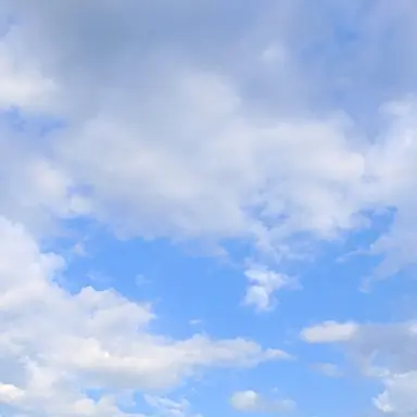 Profile image of 유현승