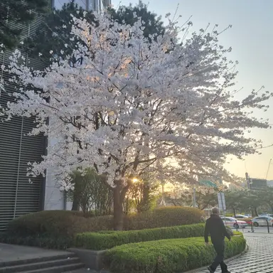 Profile image of 오민지