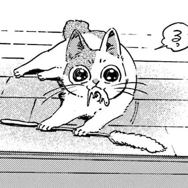 Profile image of 猫