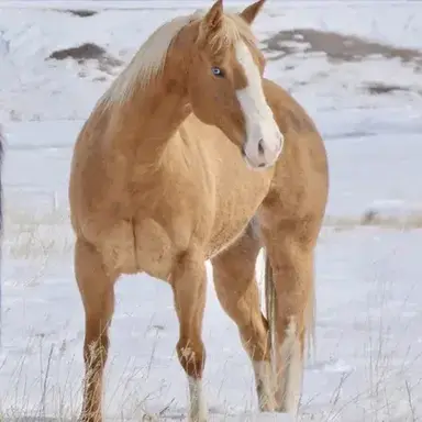 Profile image of Tf141