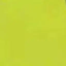 Profile image of ペッシ