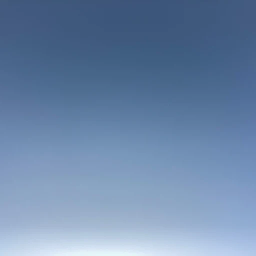 오너