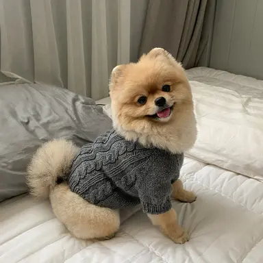 Profile image of 유기사