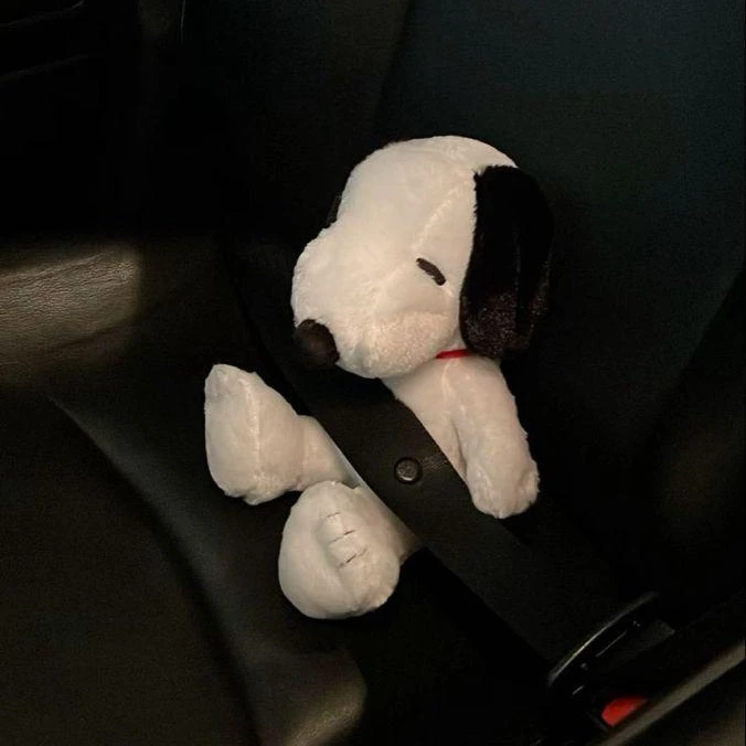 박떵호