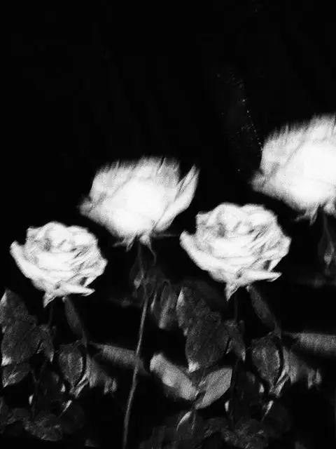 onlys_xuallove의 Void