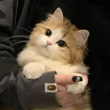 Profile image of 모카