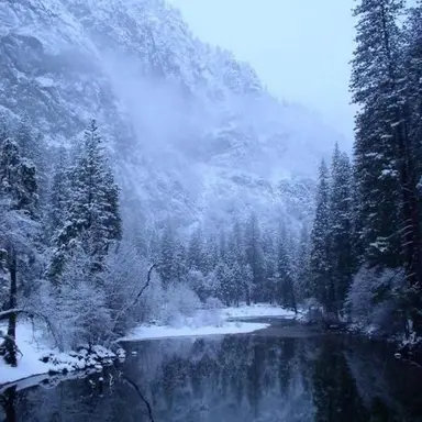Profile image of Lnygens Alps