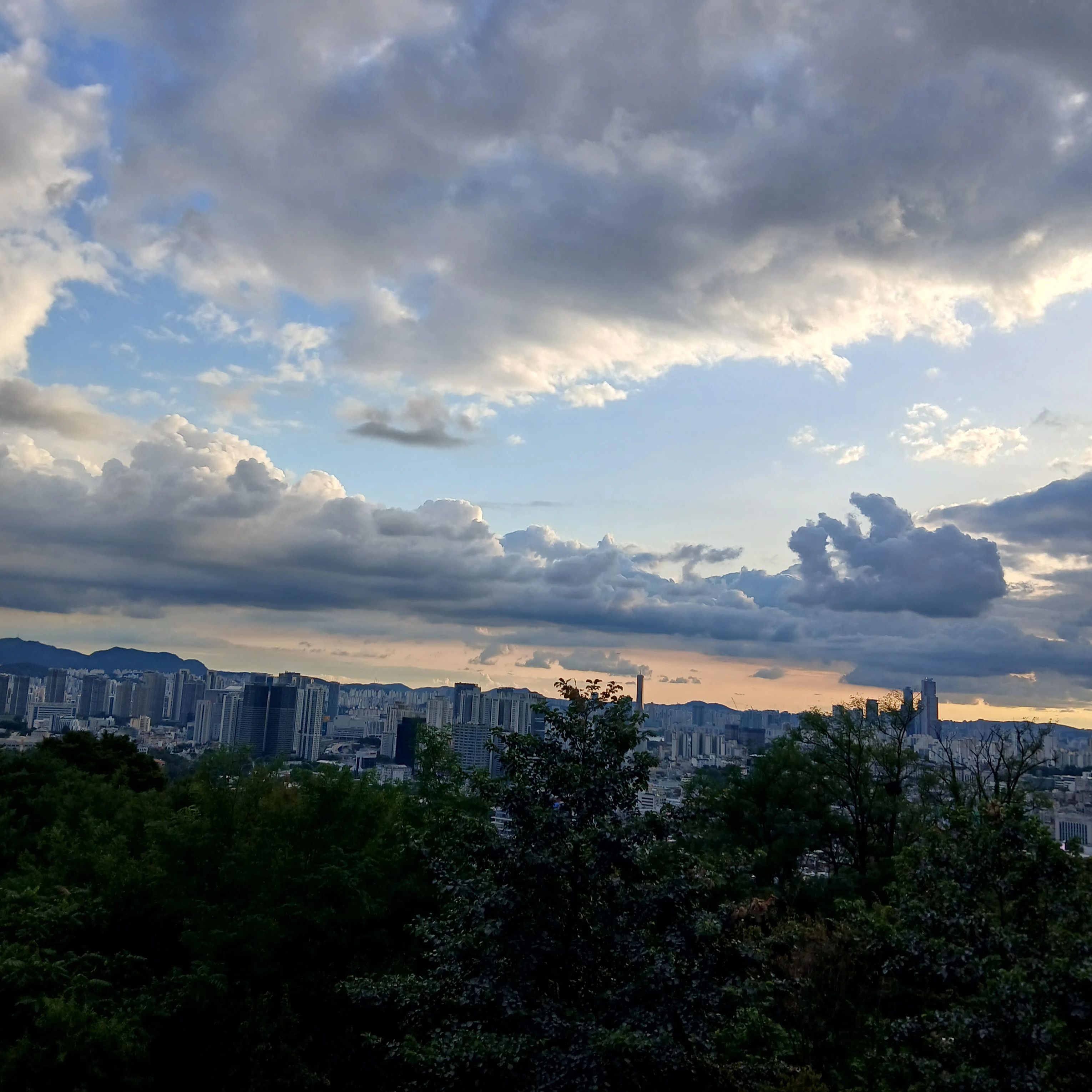 당신이 임신함.