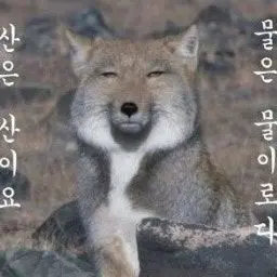 Profile image of 김늑대
