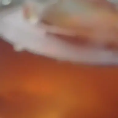 Profile image of ミンス