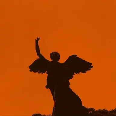 Profile image of 덕개 데메테르