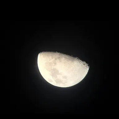 Profile image of 이태민