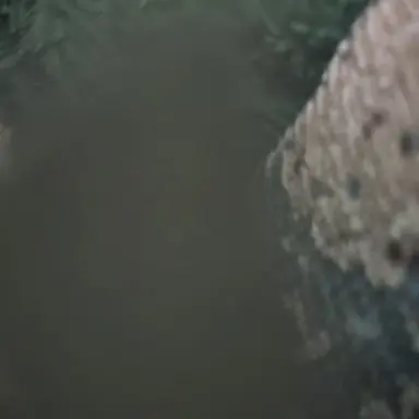 Profile image of Ashley