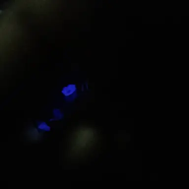 Profile image of 진심혜