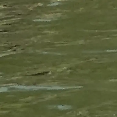 Profile image of 황도윤