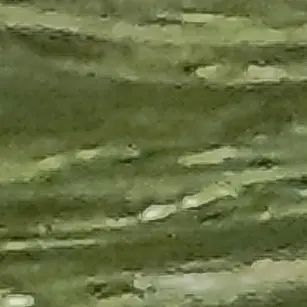 Profile image of 나하준