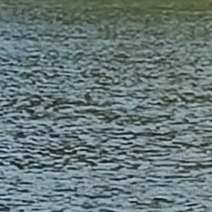 Profile image of 박서하