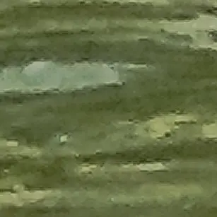 Profile image of 김태윤