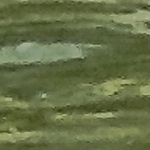김태윤
