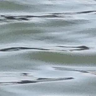 Profile image of 이유나